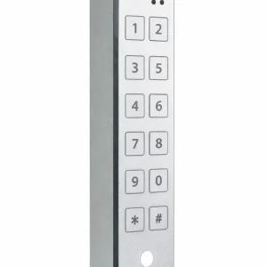 קודן אנטי ונדלי